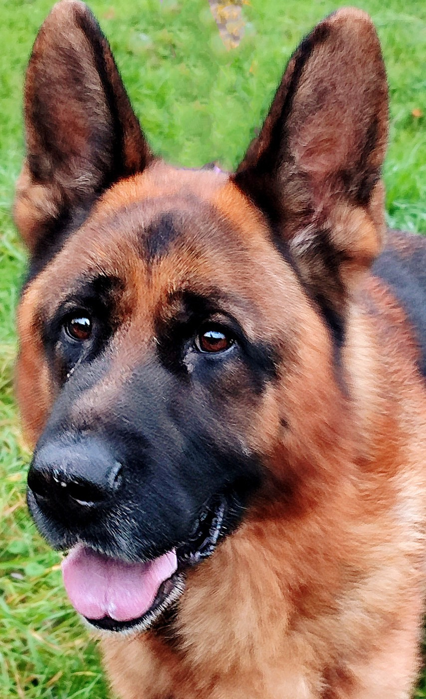 Rpg du clos de la gloriette