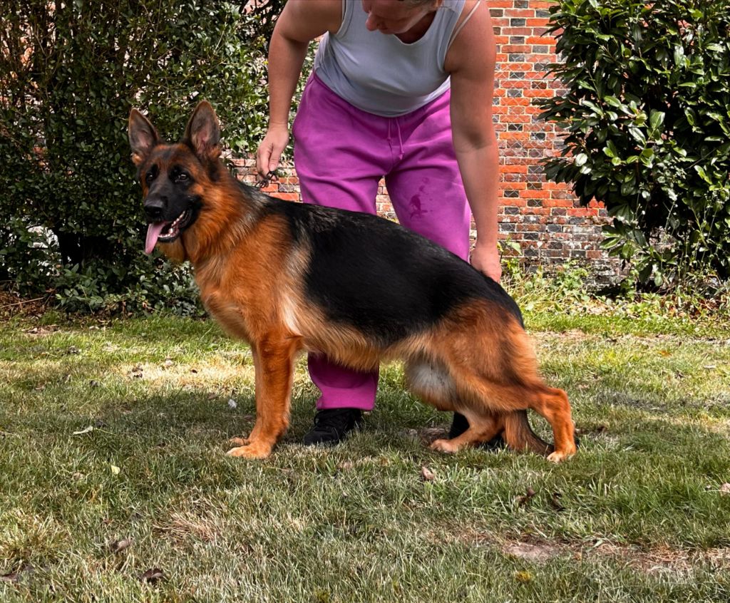 Vendetta du clos de la gloriette