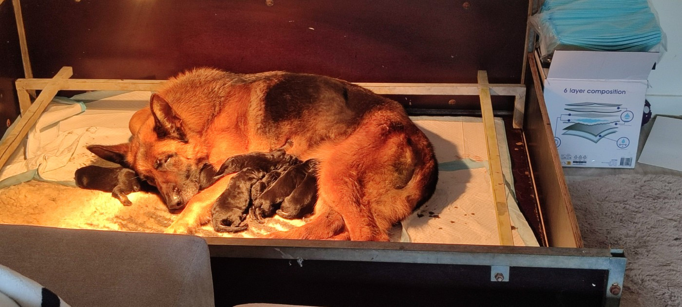 Les bb de Pastaga et Rpg sont arrivés