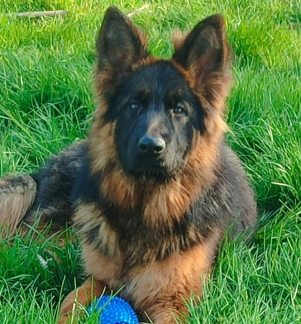 Concours 28 & 29/03/2025