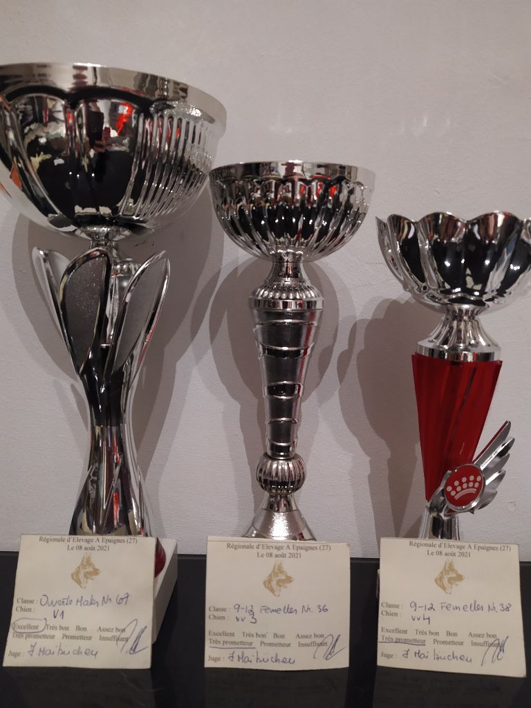 du clos de la gloriette - Epaignes 08/08 2 nouveaux podiums