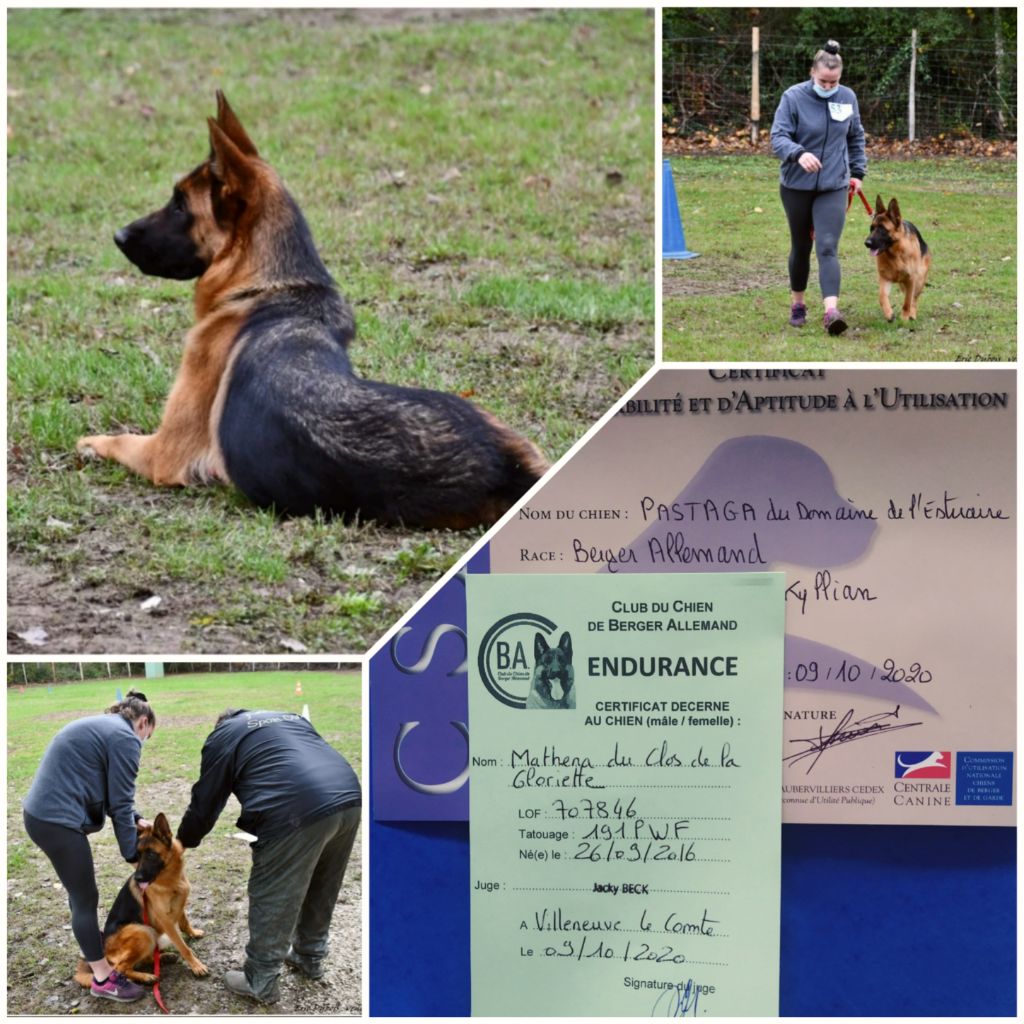 du clos de la gloriette - CONCOURS VILLENEUVE LE COMTE 09/10/2020