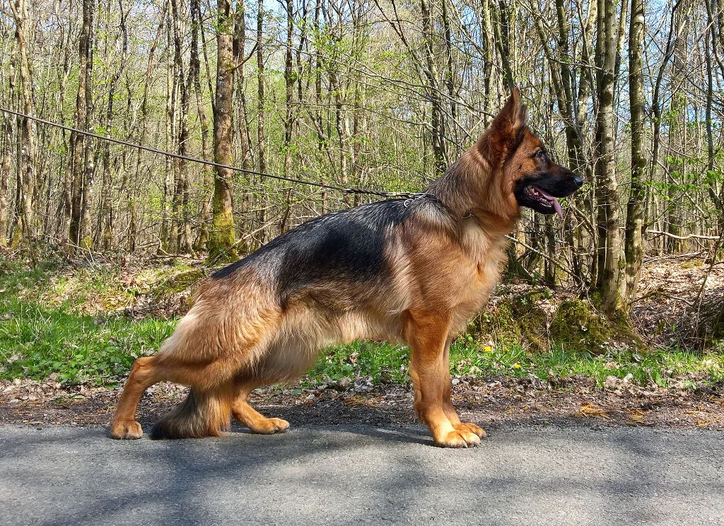 du clos de la gloriette - 16/06/2019 Gütersloh