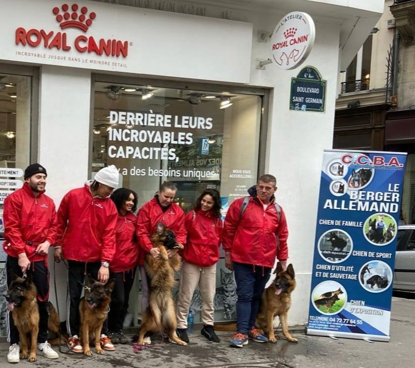 07/12/2024 1er Cani-Cross Urbain